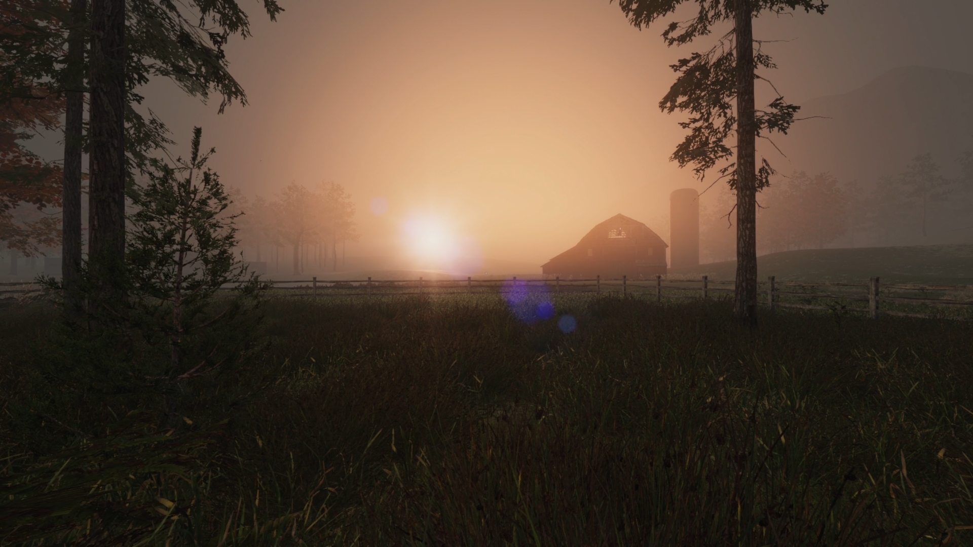 Sunrise